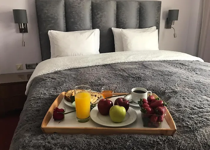 Art 'otel מלון סופיה